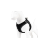 Max & Molly Matrix 2.0 Air Vest hám - Black/S