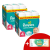 Maxi Pampers Active Baby 2x havi Pelenkacsomag 9-14kg Maxi 4 (360db) + Ajándék Törlőkendő