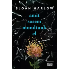 Maxim Amit sosem mondtunk el egyéb e-könyv