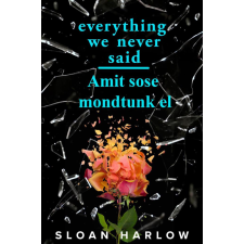 Maxim Everything We Never Said - Amit sose mondtunk el regény