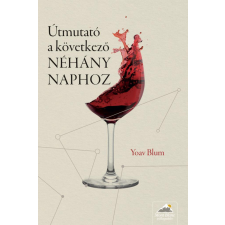 Maxim Yoav Blum - Útmutató a következő NÉHÁNY NAPHOZ regény