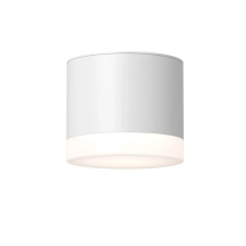 MAYTONI Maytoni Pauline C087CL-GX53-W 1x15W/GX53 IP44 világítás