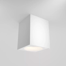 MAYTONI Maytoni ZOOM C029CL-01W Felületi spotlámpa 1x50W/GU10 IP65 világítás