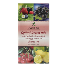 MECSEK GYÜMÖLCSTEA MIX gyógytea
