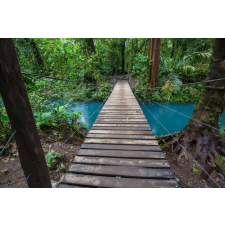  Média Costa Rica híd az erdőben tapéta, 270 x 200 cm tapéta, díszléc és más dekoráció