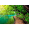  MÉDIA fali tapéta, öntapadó és mosható, fahíd a folyón az erdőben modell, 270 x 200 cm