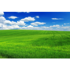  MÉDIA fali tapéta, öntapadó és mosható, természet 105, 220 x 135 cm tapéta, díszléc és más dekoráció