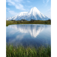  MÉDIA fali tapéta, öntapadó és mosható, természet 75, 135 x 225 cm tapéta, díszléc és más dekoráció