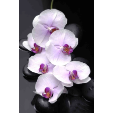  Média Fehér orchidea kövekkel vászonfestmény, 105 x 70 cm grafika, keretezett kép