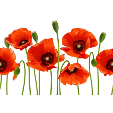  MÉDIA Flori26 matrica tapéta, 220 x 135 cm tapéta, díszléc és más dekoráció