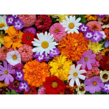  Média Flori57 tapéta, 220 x 135 cm tapéta, díszléc és más dekoráció