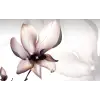  Média Magnólia virág mintás öntapadó és mosható fali tapéta, 220 x 135 cm