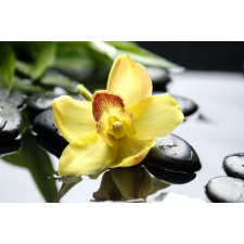  MÉDIA matrica, Sárga orchidea, 220 x 135 cm tapéta, díszléc és más dekoráció
