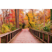 MÉDIA matrica tapéta, híd az őszi erdőben, 270 x 200 cm tapéta, díszléc és más dekoráció