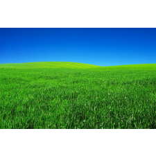  MÉDIA matrica, Természet, 220 x 135 cm tapéta, díszléc és más dekoráció