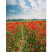  MÉDIA Natura26 matrica fotótapéta, 135 x 225 cm tapéta, díszléc és más dekoráció