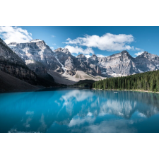  MÉDIA Natura50 Tapéta, 270 x 200 cm tapéta, díszléc és más dekoráció