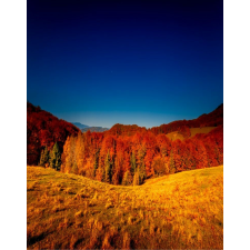  Média Natura92 tapéta, 135 x 225 cm tapéta, díszléc és más dekoráció