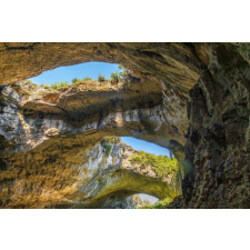  Media Natura97 matrica, 270 x 200 cm tapéta, díszléc és más dekoráció