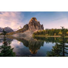  Média Natura 100 tapéta, 220 x 135 cm tapéta, díszléc és más dekoráció