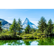  Média Natura 146 Öntapadó és mosható fali tapéta, 220 x 135 cm tapéta, díszléc és más dekoráció