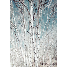  Média Nyírerdő mintás öntapadó és mosható fali tapéta, 135 x 225 cm tapéta, díszléc és más dekoráció