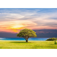  Media Nyomtatott tapéta, bonsai, 220 x 135 cm tapéta, díszléc és más dekoráció