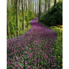  MÉDIA öntapadó és lemosható fali fotótapéta, Rózsaszín virágút, 135 x 225 cm tapéta, díszléc és más dekoráció