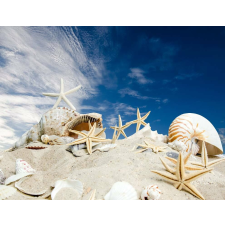  Média öntapadó és lemosható fali tapéta, strand csillagokkal, 220 x 135 cm tapéta, díszléc és más dekoráció