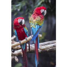  Média öntapadó és mosható fali tapéta, 135 x 225 cm tapéta, díszléc és más dekoráció