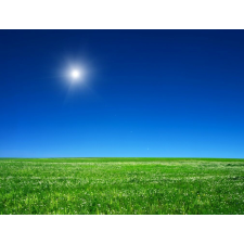  MÉDIA Öntapadó és mosható fali tapéta, Natura102, 220 x 135 cm tapéta, díszléc és más dekoráció