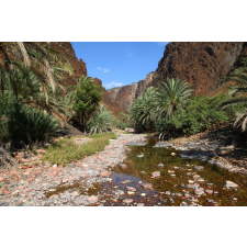  Média öntapadó és mosható fali tapéta, Natura124, 220 x 135 cm tapéta, díszléc és más dekoráció