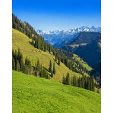  MÉDIA Öntapadó és mosható fotótapéta, 135 x 225 cm, Természet 135 tapéta, díszléc és más dekoráció