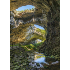  MÉDIA Öntapadó és mosható fotótapéta, 135 x 225 cm, Természet 97 tapéta, díszléc és más dekoráció