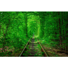  MÉDIA Padure10 matrica, 220 x 135 cm tapéta, díszléc és más dekoráció