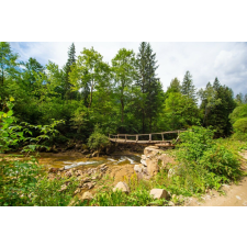  MÉDIA Padure66 matrica tapéta, híd, 220 x 135 cm tapéta, díszléc és más dekoráció