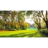  Media "Ősz a parkban" vászonfestmény, 105 x 70 cm