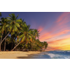  Media "Tengerpart 67" fotótapéta, naplemente pálmafákkal, 220 x 135 cm