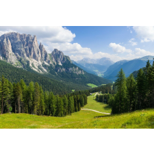  Media "Természet 46" tapéta, 220 x 135 cm tapéta, díszléc és más dekoráció