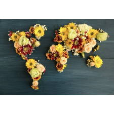  Media "Virágkontinens" fotótapéta, 220 x 135 cm tapéta, díszléc és más dekoráció