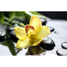  MÉDIA Sárga orchidea matrica fotótapéta, 270 x 200 cm tapéta, díszléc és más dekoráció