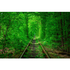  Média tapéta, 270 x 200 cm tapéta, díszléc és más dekoráció