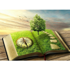  MÉDIA Tapéta, Book of time, 270 x 200 cm tapéta, díszléc és más dekoráció