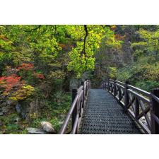  MÉDIA tapéta, híd a természetbe, 270 x 200 cm tapéta, díszléc és más dekoráció