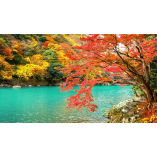  Média tapéta, Natura151 ősz a tavon, 220 x 135 cm tapéta, díszléc és más dekoráció