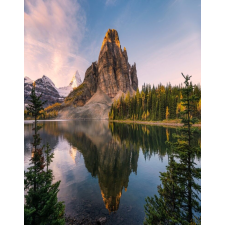  MÉDIA tapéta, természet 100, 135 x 225 cm tapéta, díszléc és más dekoráció