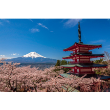  MÉDIA tapéta, természet 45, 270 x 200 cm tapéta, díszléc és más dekoráció