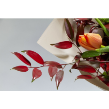  Média tapéta, VIrágok160, virágcsokrok, 270 x 200 cm tapéta, díszléc és más dekoráció