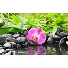  MÉDIA vászonfestmény, orchidea bambusszal, 105 x 70 cm grafika, keretezett kép