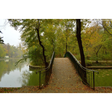  Média vászonfestmény, őszi parkban, 105 x 70 cm grafika, keretezett kép